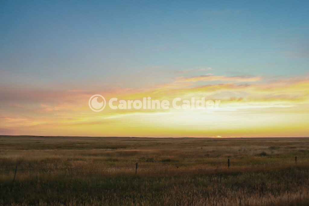 Fence line at sunset in Taber, Alberta