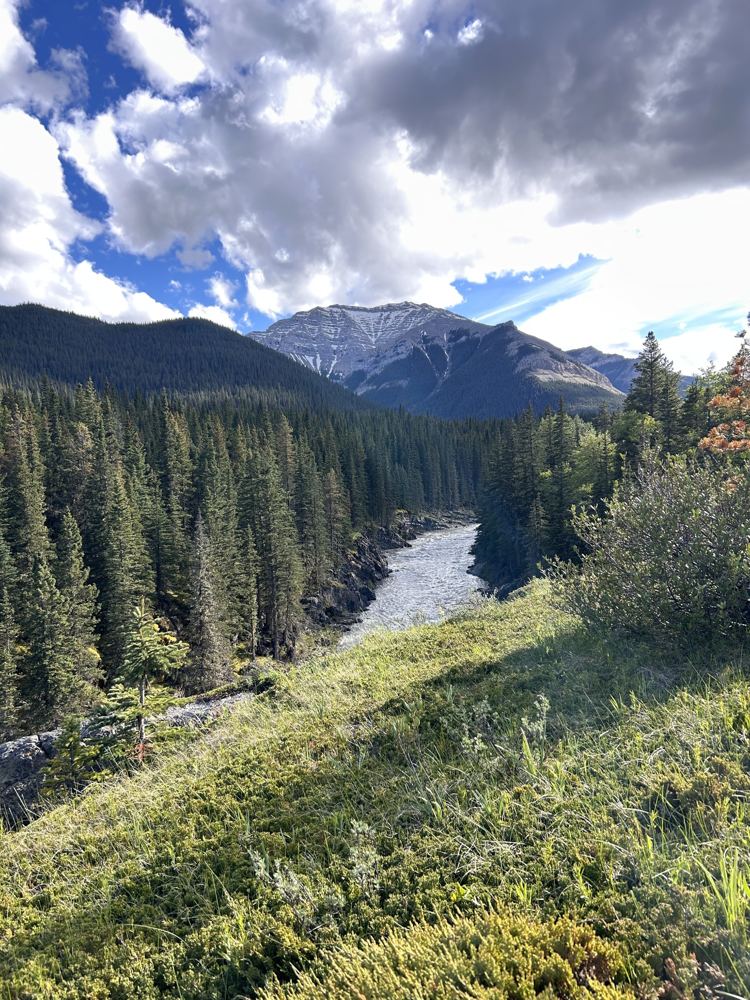 River winding through a forested mountain valley