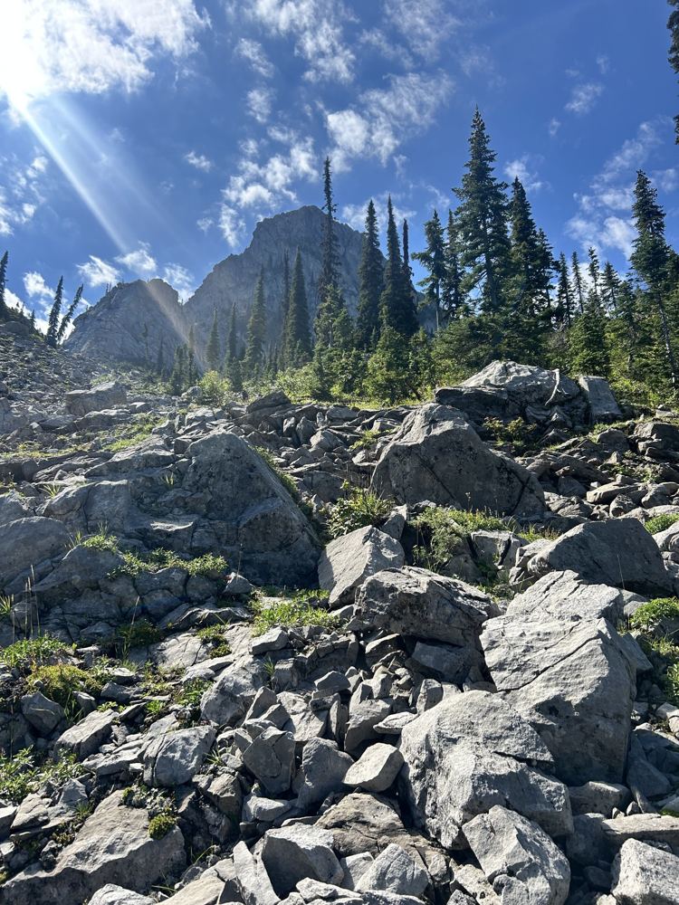Rocky mountain trail beneath evergreen trees
