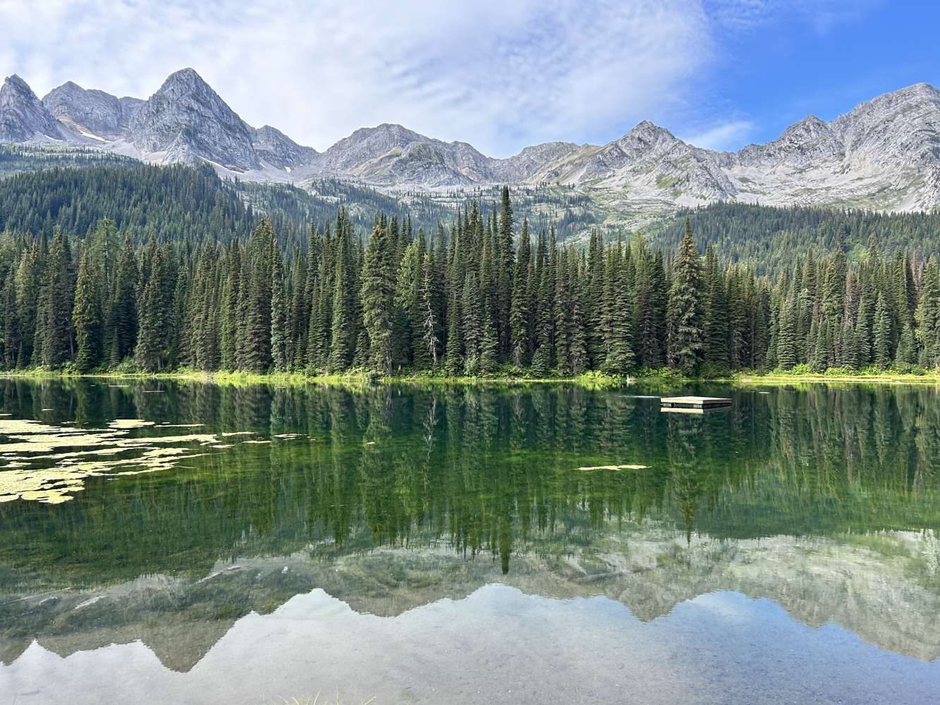 Mountain peaks and evergreen trees reflected in a lake